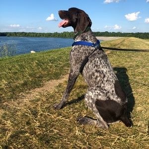 Follow on Instagram @hankgsp